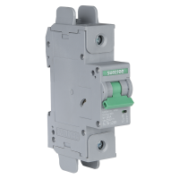 SL7N-125D DC 250V 1P 125A